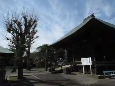 新長谷寺（八町観音）(茨城県)