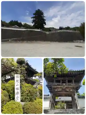 極楽寺(吐田極楽寺)の{uncategorized: "未分類", other: "その他", undefined: "問題あり", building: "その他建物", grave: "お墓", sacred_gate: "鳥居", guardian: "狛犬", statue: "像", buddha: "仏像", history: "歴史", nature: "自然", garden: "庭園", animal: "動物", pagoda: "塔", temizu: "手水舎", mountain_gate: "山門・神門", sanctuary: "本殿・本堂", subordinate: "末社・摂社", art: "芸術", scenery: "景色", jizo: "地蔵", ema: "絵馬", goshuin: "御朱印", omikuji: "おみくじ", items: "授与品その他", amulet: "お守り", goshuincho: "御朱印帳", eats: "食事", festival: "お祭り", votive_dance: "神楽", shichigosan: "七五三参", wedding: "結婚式", experience: "体験その他", initially: "初詣", around: "周辺", anti_infection: "感染症対策"}