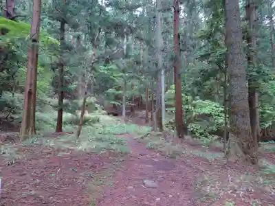 赤城神社(三夜沢町)の周辺