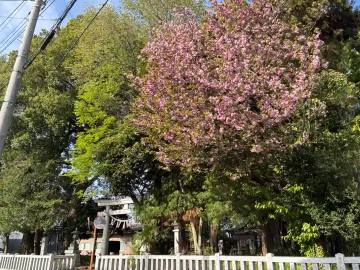 地主神社(千葉県)