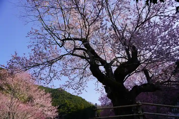 春谷寺(三重県)