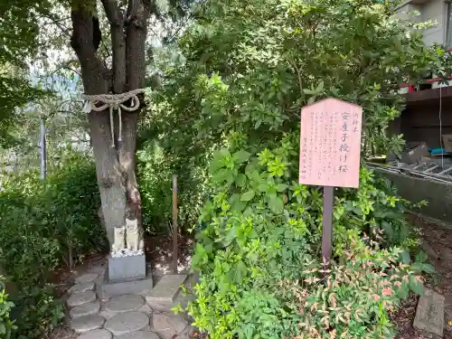 差出磯大嶽山神社 仕事と健康と厄よけの神さま(山梨県)