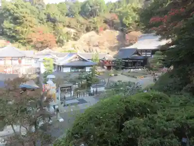 岡寺(龍蓋寺)(奈良県)