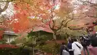 常寂光寺のその他建物