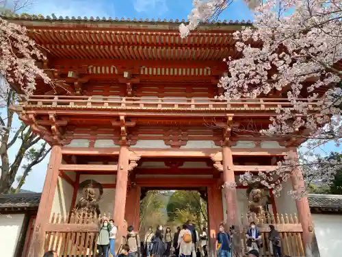 醍醐寺の山門