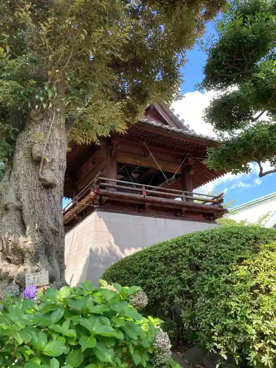 護国寺のその他建物