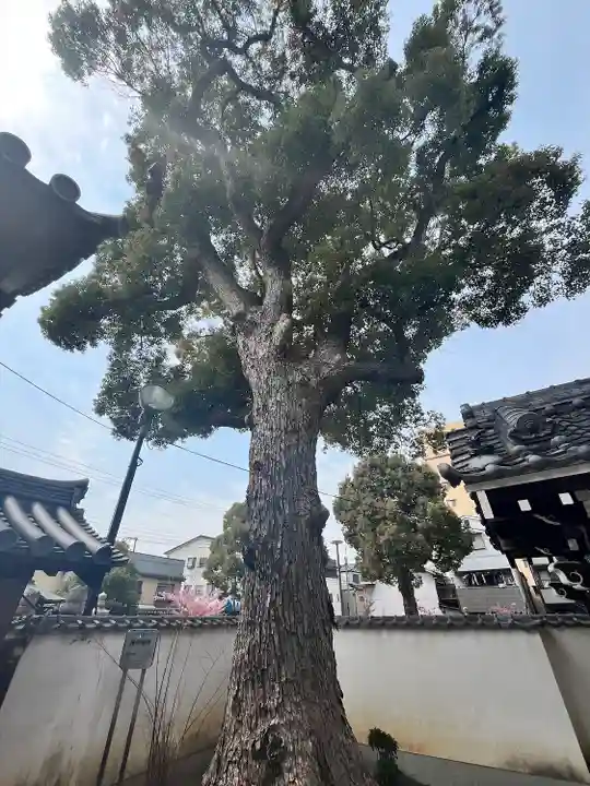 法楽寺(大阪府)