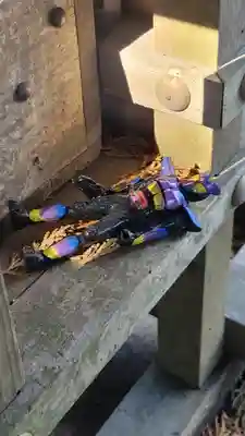 埜中神社(愛媛県)