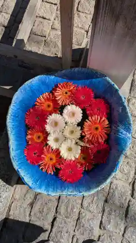 川越八幡宮(埼玉県)