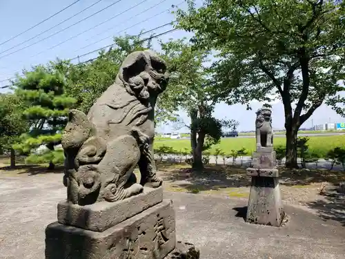 八幡社の狛犬