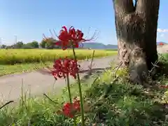 神吉八幡神社(兵庫県)