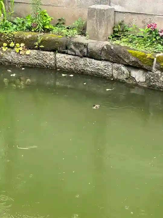 磐井神社(東京都)