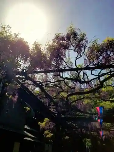 國領神社(東京都)