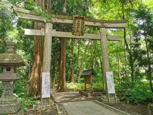 十和田神社の鳥居