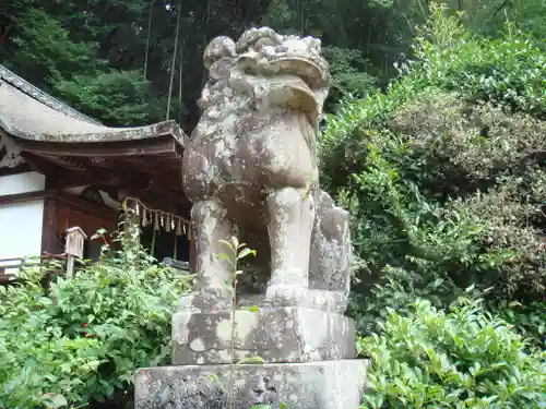 宇治上神社の狛犬