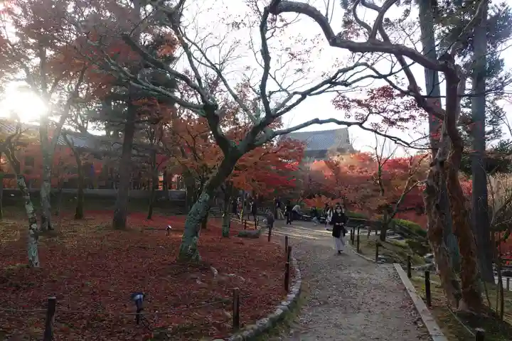 東福禅寺(東福寺)(京都府)