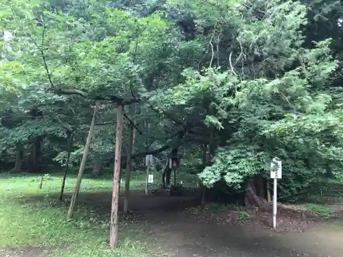 伊佐須美神社の自然