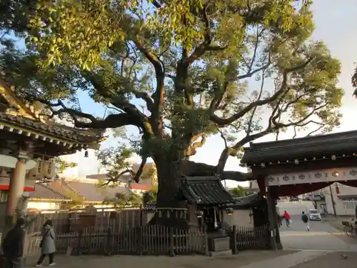 大聖観音寺（あびこ観音）(大阪府)