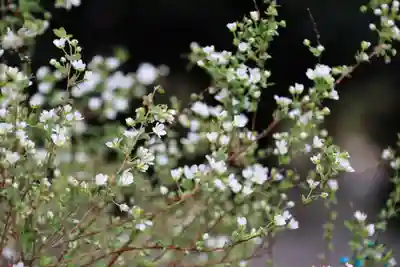 滑川神社 - 仕事と子どもの守り神の授与品その他