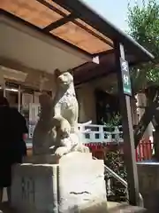 皆中稲荷神社の狛犬