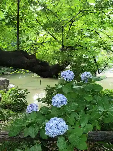 東郷神社(東京都)