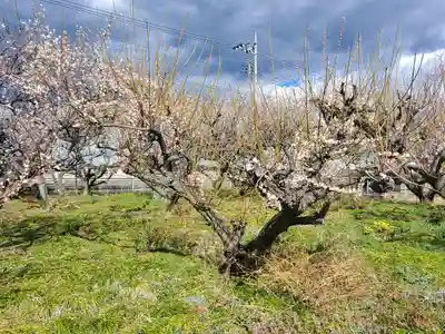 梅野森天満宮(栃木県)