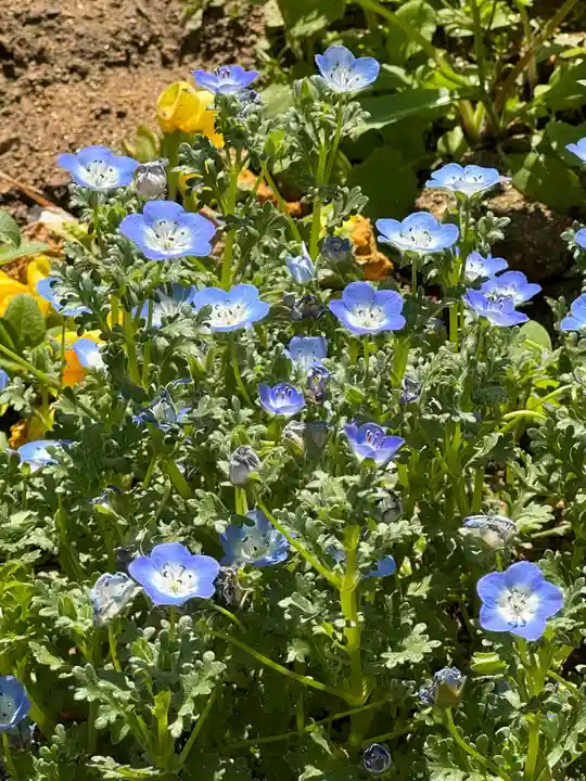 大鏑神社(福島県)