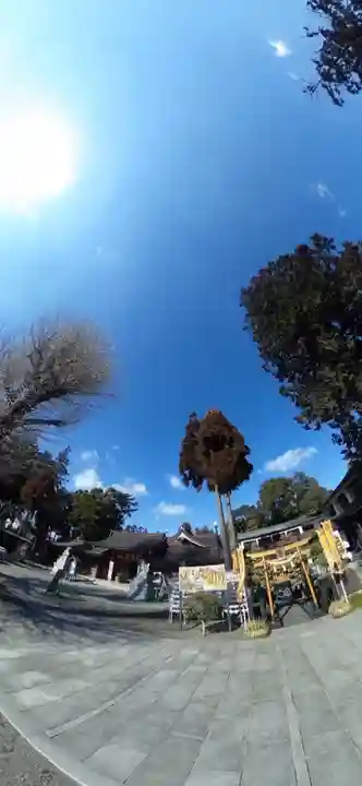 亀ケ池八幡宮(神奈川県)