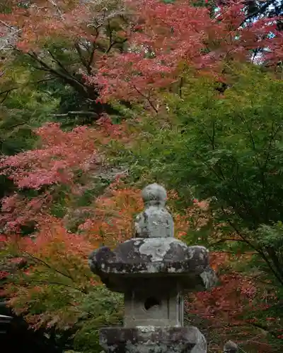 普門寺(切り絵御朱印発祥の寺)(愛知県)
