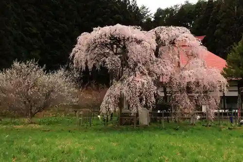 永泉寺の庭園