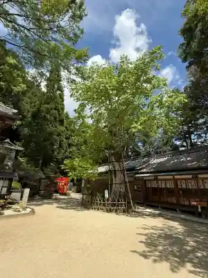 葛城一言主神社の{uncategorized: "未分類", other: "その他", undefined: "問題あり", building: "その他建物", grave: "お墓", sacred_gate: "鳥居", guardian: "狛犬", statue: "像", buddha: "仏像", history: "歴史", nature: "自然", garden: "庭園", animal: "動物", pagoda: "塔", temizu: "手水舎", mountain_gate: "山門・神門", sanctuary: "本殿・本堂", subordinate: "末社・摂社", art: "芸術", scenery: "景色", jizo: "地蔵", ema: "絵馬", goshuin: "御朱印", omikuji: "おみくじ", items: "授与品その他", amulet: "お守り", goshuincho: "御朱印帳", eats: "食事", festival: "お祭り", votive_dance: "神楽", shichigosan: "七五三参", wedding: "結婚式", experience: "体験その他", initially: "初詣", around: "周辺", anti_infection: "感染症対策"}