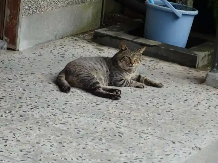 叶神社(東叶神社)の動物