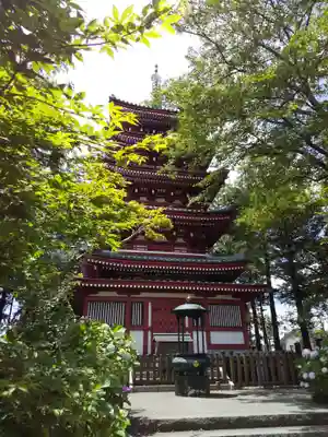 本土寺のその他建物