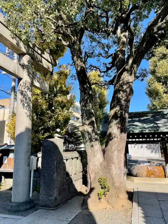 麻布氷川神社の自然