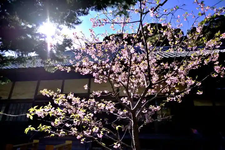かっぱの寺 栖足寺の自然