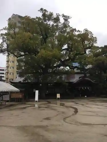 住吉神社の建物その他