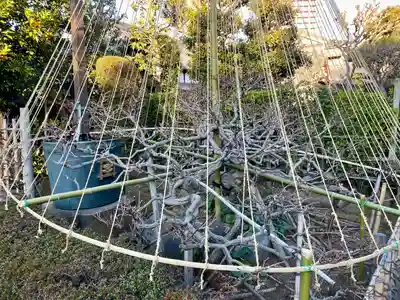 経王寺(東京都)