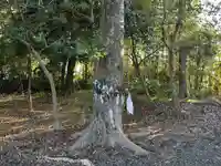 乃伎多神社(高月町東阿閉)(滋賀県)