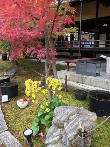 勝林寺の庭園