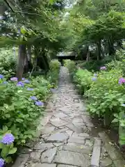 本光寺の建物その他