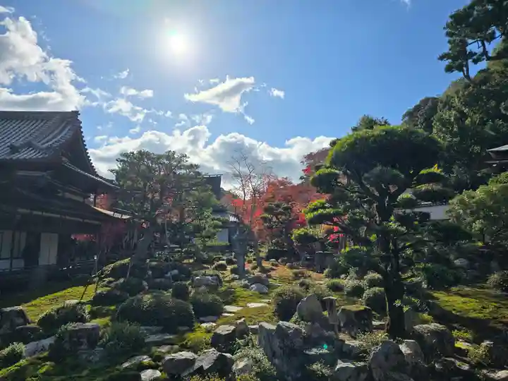 金剛寺(大阪府)