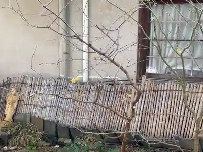 遠照山 光明寺（尼崎大仏）(兵庫県)