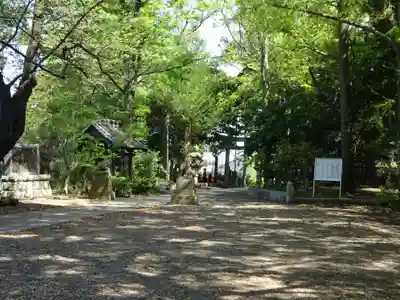 篠原八幡神社(神奈川県)