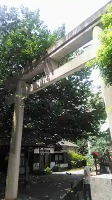 蔵前神社の鳥居