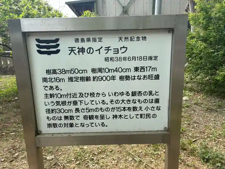 天満神社(徳島県)