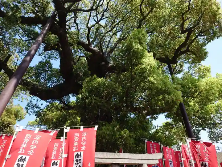 楠珺社(住吉大社末社)(大阪府)