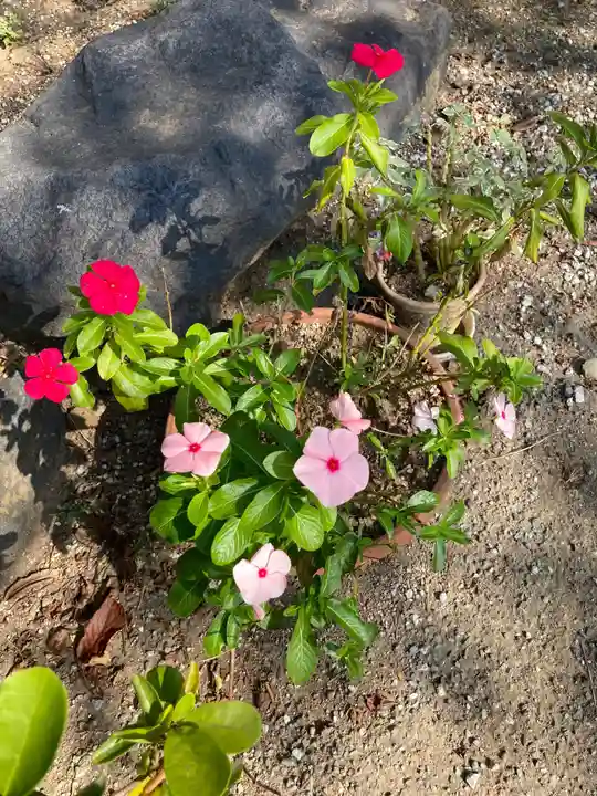 補陀洛寺(神奈川県)