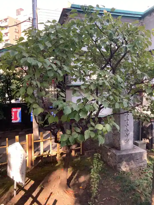 大鳥神社(東京都)