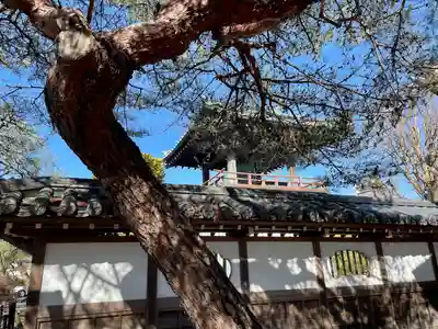 白旗八幡宮(栃木県)