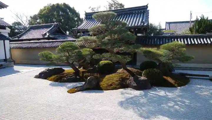 観智院(東寺子院)の庭園